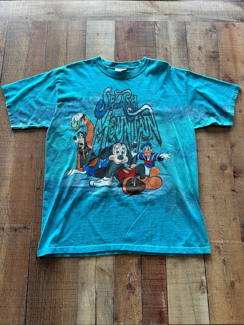Disney World Parks Splash Mountain Graphic Short Sleeve Tee Large dual print